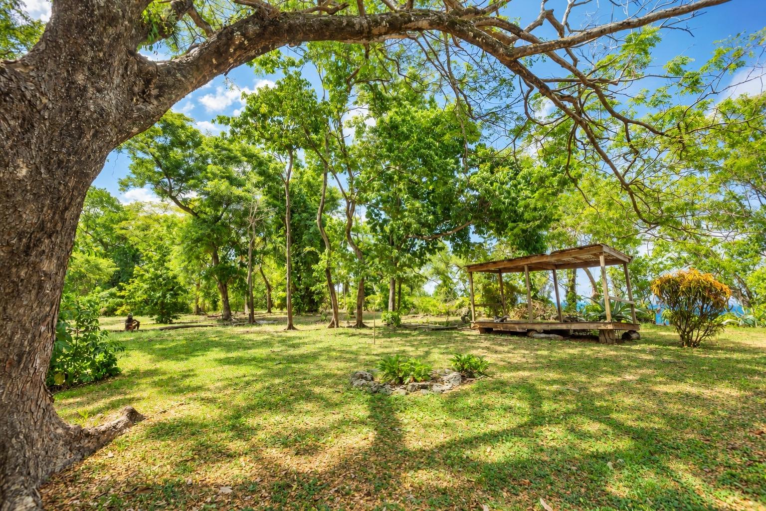 Tenth image of Lower Fair Prospect in Fair Prospect, Portland, Jamaica - property is For Sale
