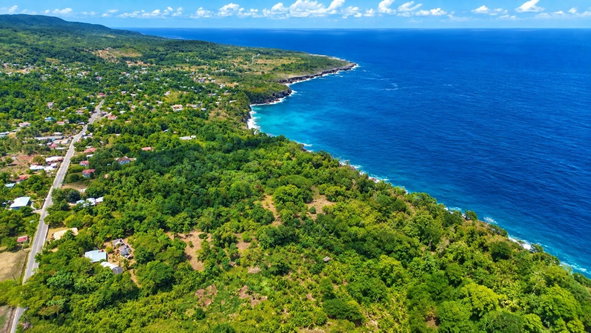 Nineteenth image of Lower Fair Prospect in Fair Prospect, Portland, Jamaica - property is For Sale