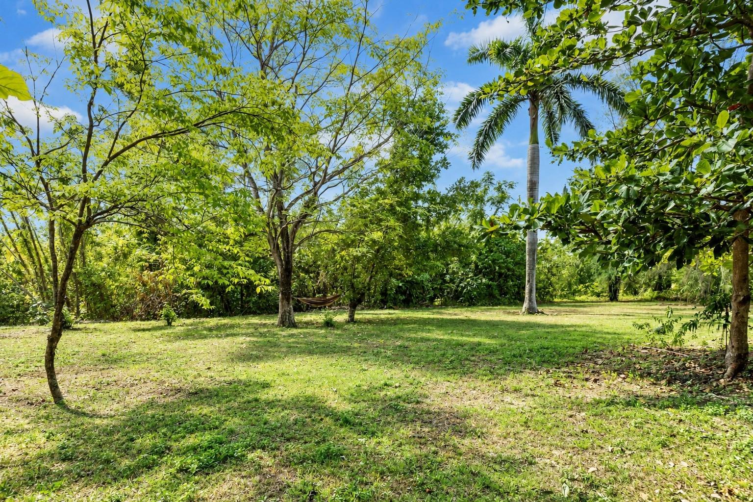 Twenty-Fifth image of Lower Fair Prospect in Fair Prospect, Portland, Jamaica - property is For Sale