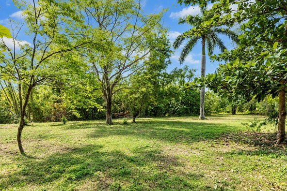 Twenty-Fifth image of Lower Fair Prospect in Fair Prospect, Portland, Jamaica - property is For Sale