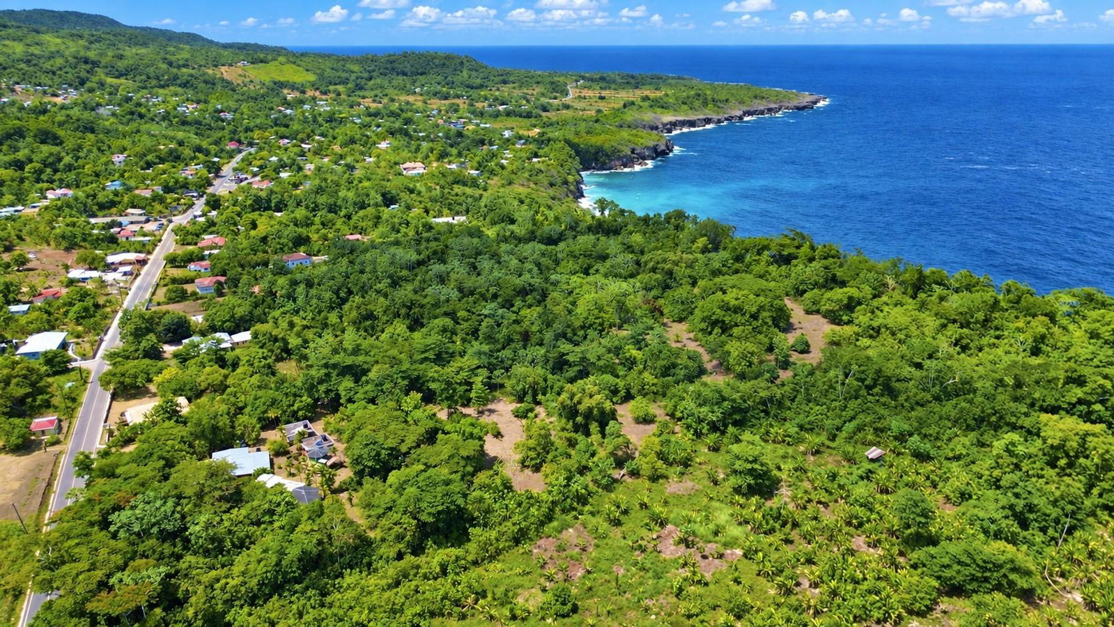 Fourth image of Lower Fair Prospect in Fair Prospect, Portland, Jamaica - property is For Sale