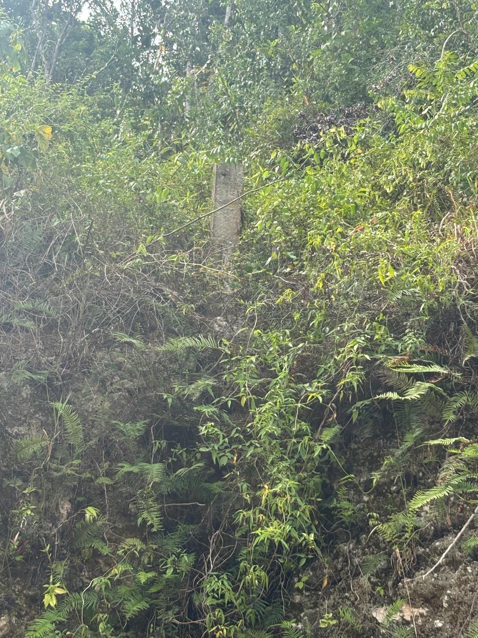 Tenth image of Lot-159 Moorlands Estate in Mandeville, Manchester, Jamaica - property is For Sale