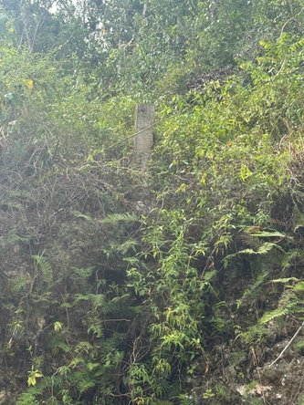 Tenth image of Lot-159 Moorlands Estate in Mandeville, Manchester, Jamaica - property is For Sale