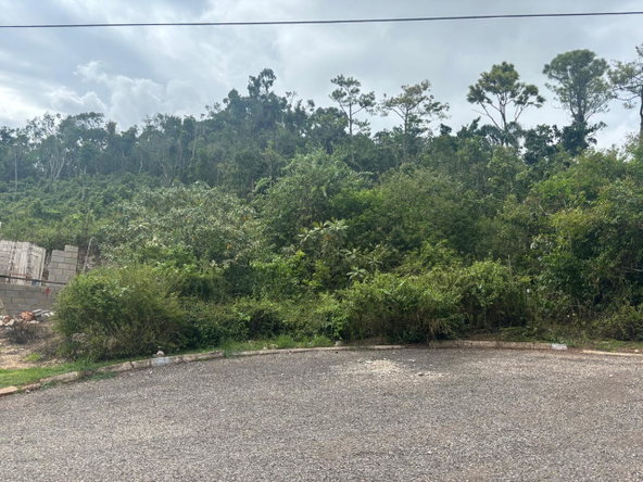 Fifth image of Lot-159 Moorlands Estate in Mandeville, Manchester, Jamaica - property is For Sale