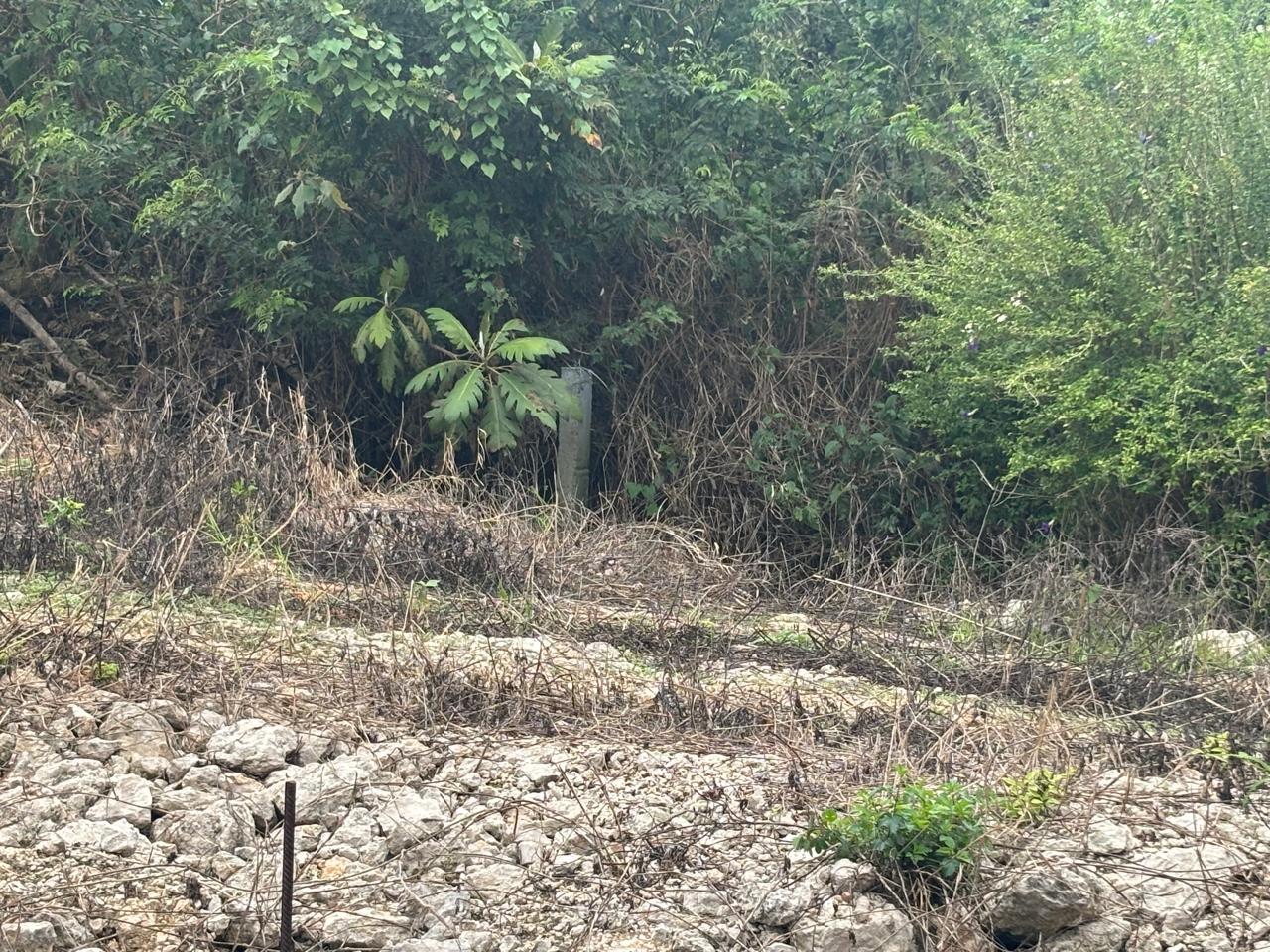 Sixth image of Lot-159 Moorlands Estate in Mandeville, Manchester, Jamaica - property is For Sale