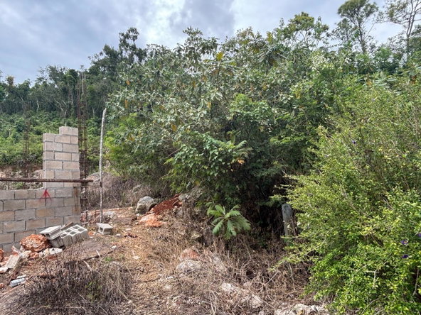 Ninth image of Lot-159 Moorlands Estate in Mandeville, Manchester, Jamaica - property is For Sale