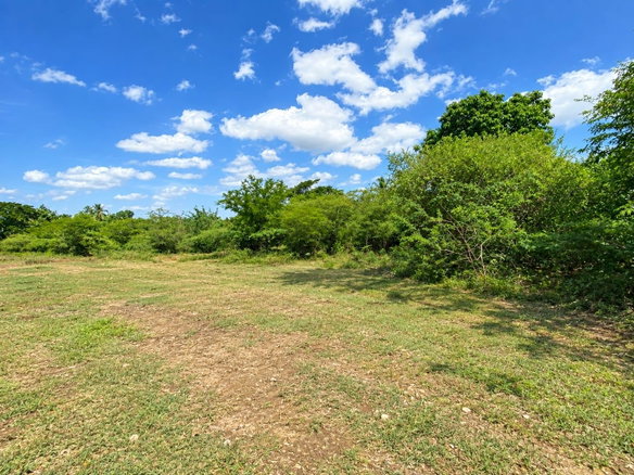 First image of Longbridge Avenue, Curato in Curatoe Hill, Clarendon, Jamaica - property is For Sale