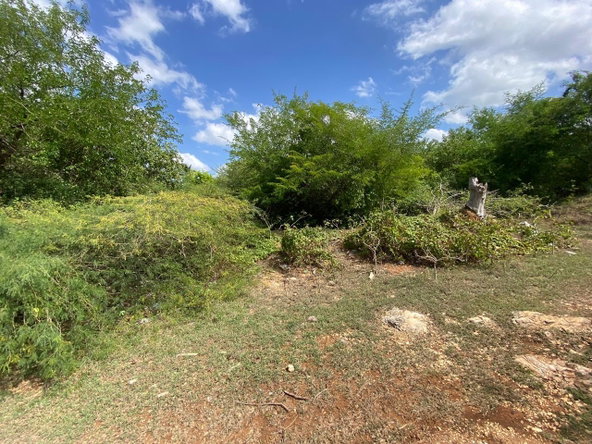 Third image of Longbridge Avenue, Curato in Curatoe Hill, Clarendon, Jamaica - property is For Sale