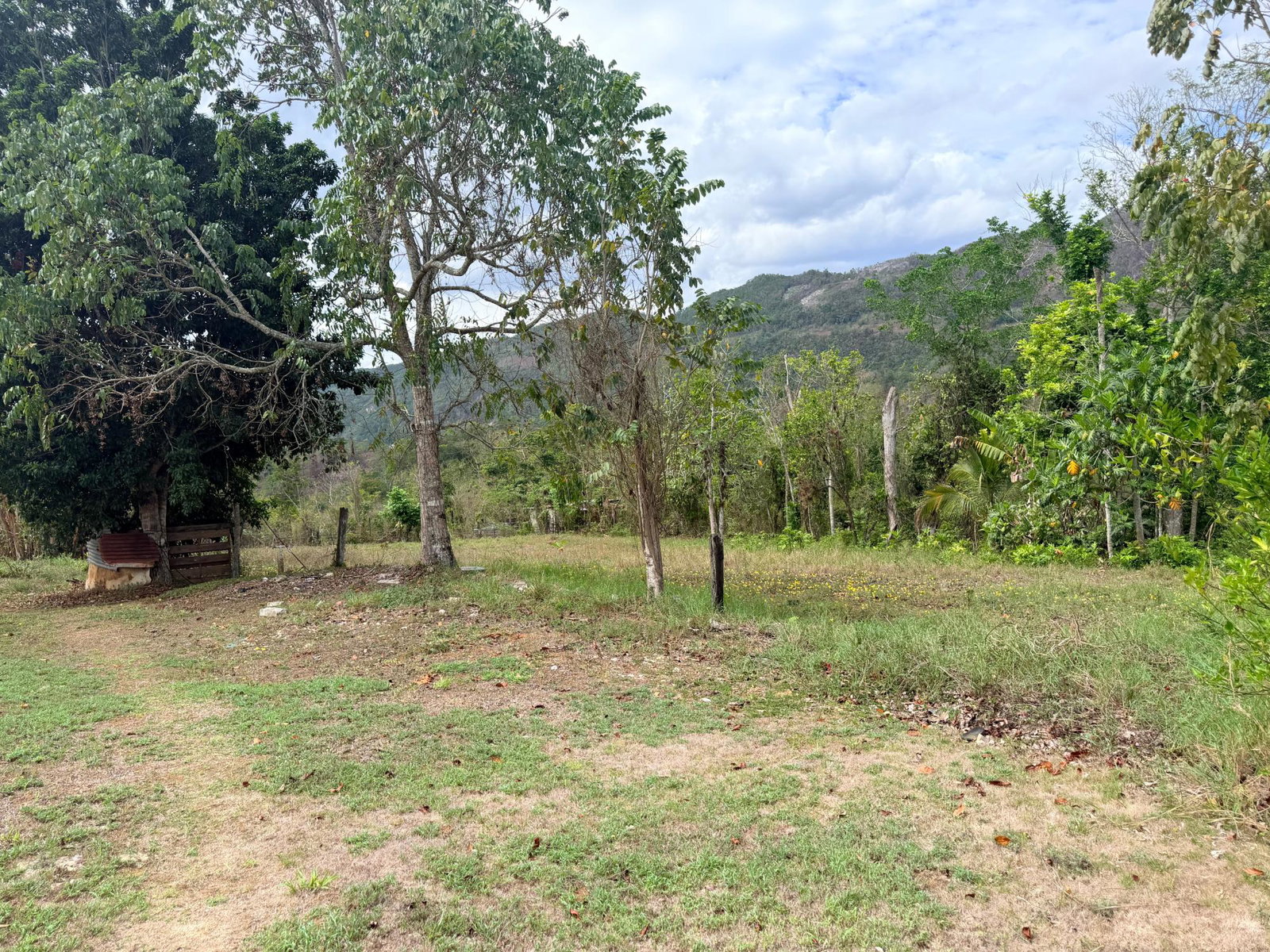 Eighteenth image of Griefield Greathouse, St. in Moneague, St. Ann, Jamaica - property is For Sale