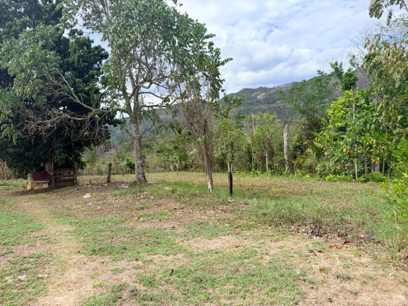 Eighteenth image of Griefield Greathouse, St. in Moneague, St. Ann, Jamaica - property is For Sale