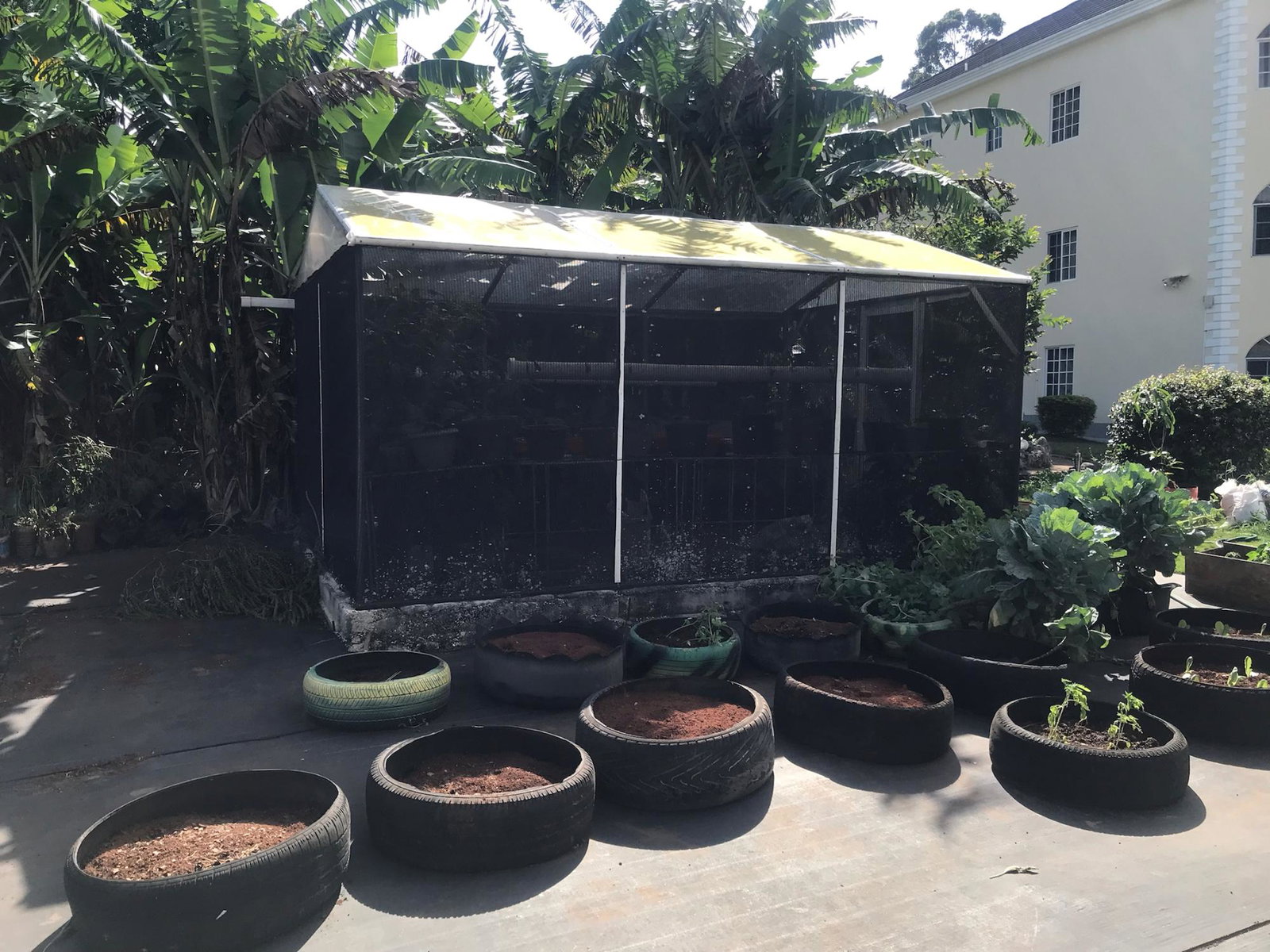 Ninth image of 46 Cedar Gardens in Mandeville, Manchester, Jamaica - property is For Rent