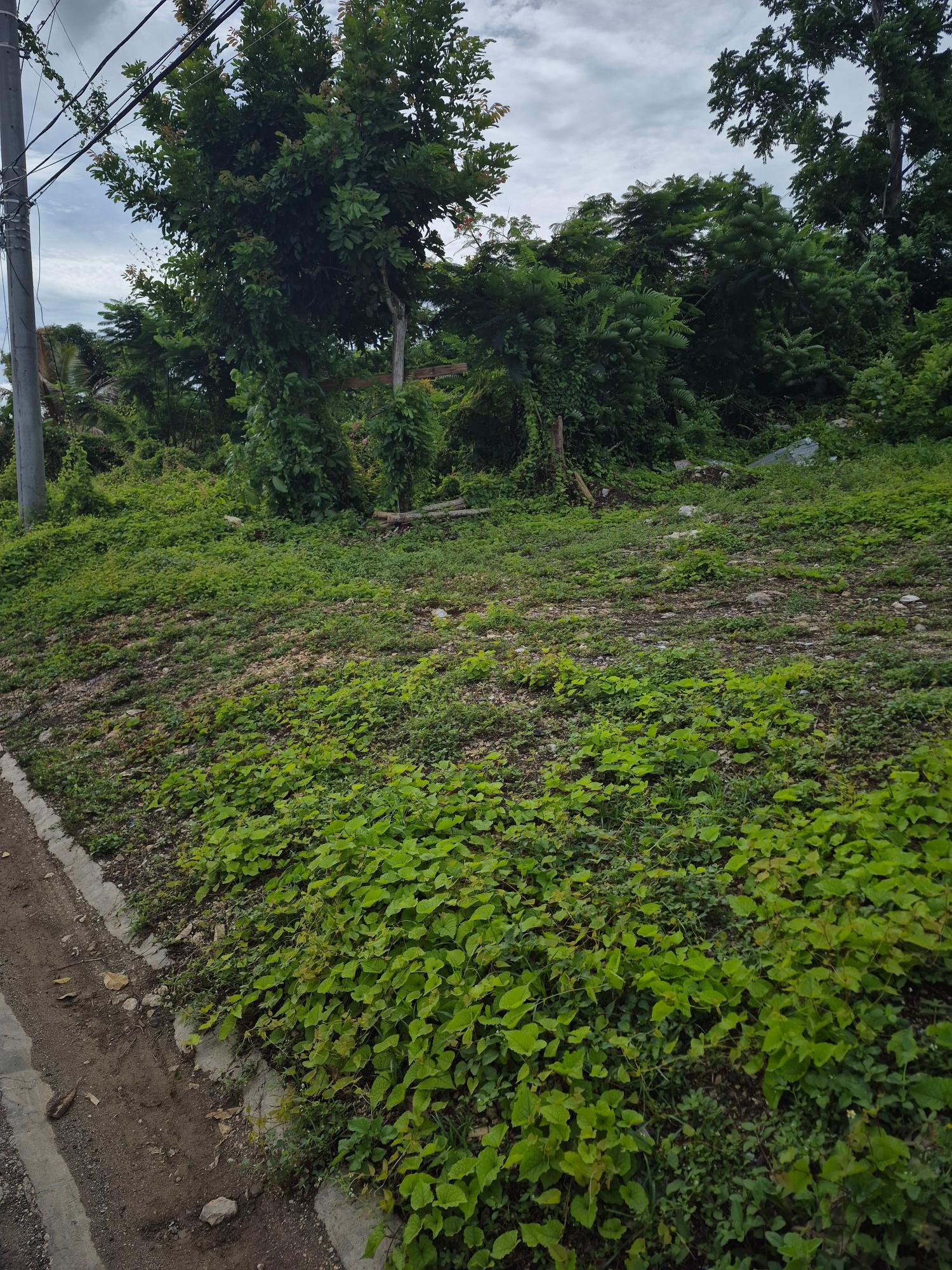 Third image of Chicago Crescent in Montego Bay, St. James, Jamaica - property is For Sale