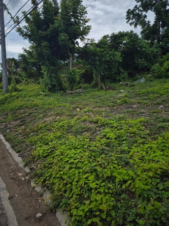 Third image of Chicago Crescent in Montego Bay, St. James, Jamaica - property is For Sale