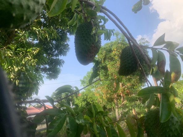 Twenty-Fifth image of Lot 127 Springfield Blvd Retreat in RETREAT HEIGHTS, Trelawny, Jamaica - property is For Sale