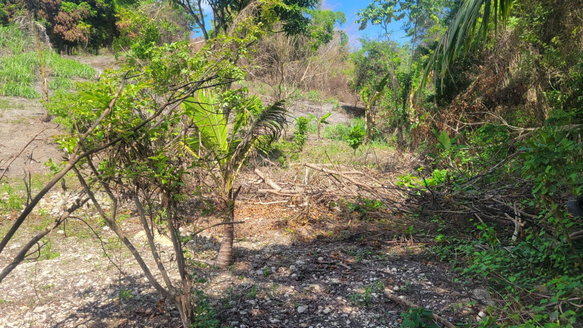 First image of John's Town in Lyssons, St. Thomas, Jamaica - property is For Sale