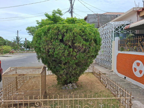 Seventh image of 74 North West 10th Street in Sandown Park, St. Catherine, Jamaica - property is For Sale