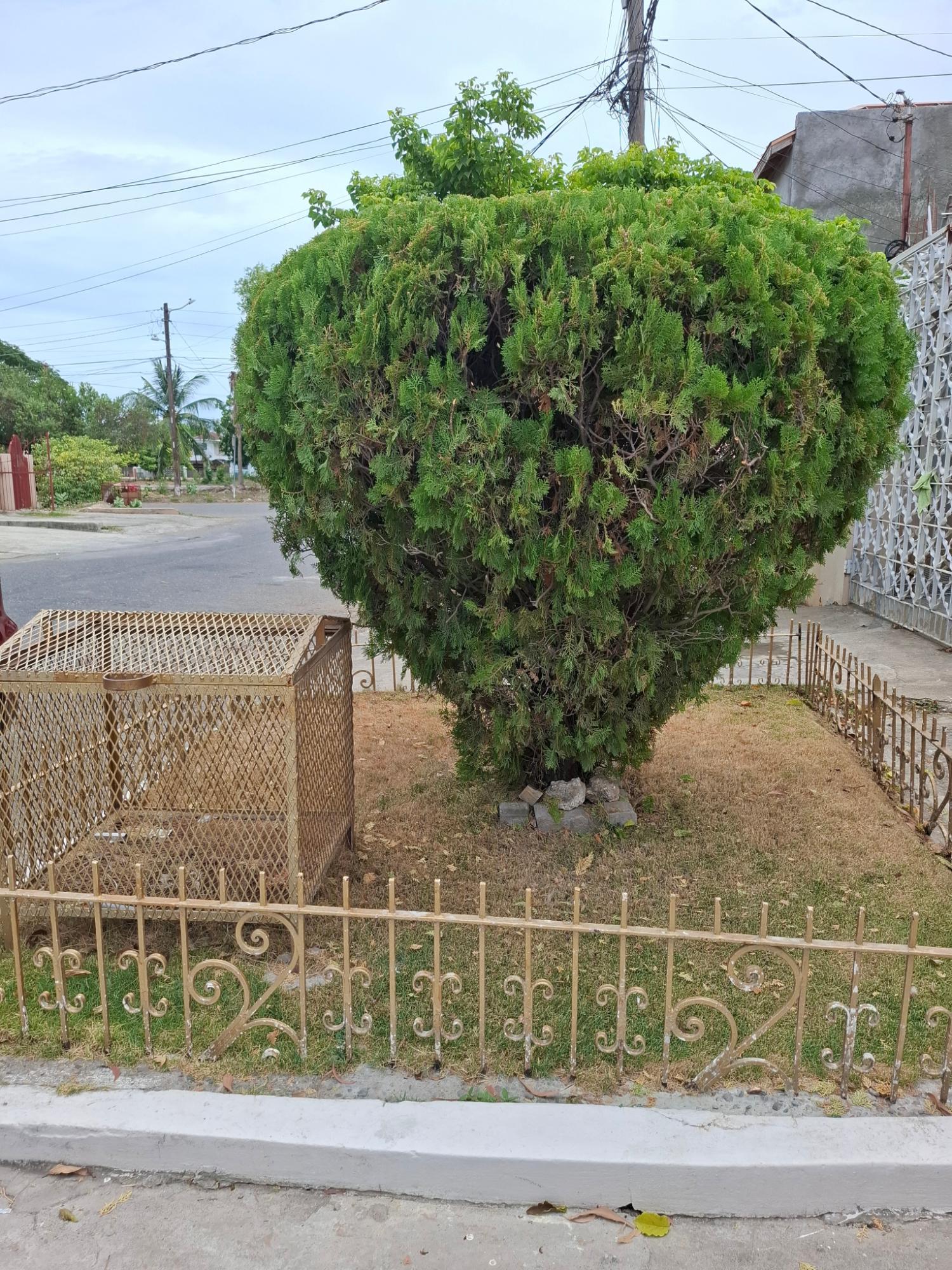 Eighth image of 74 North West 10th Street in Sandown Park, St. Catherine, Jamaica - property is For Sale
