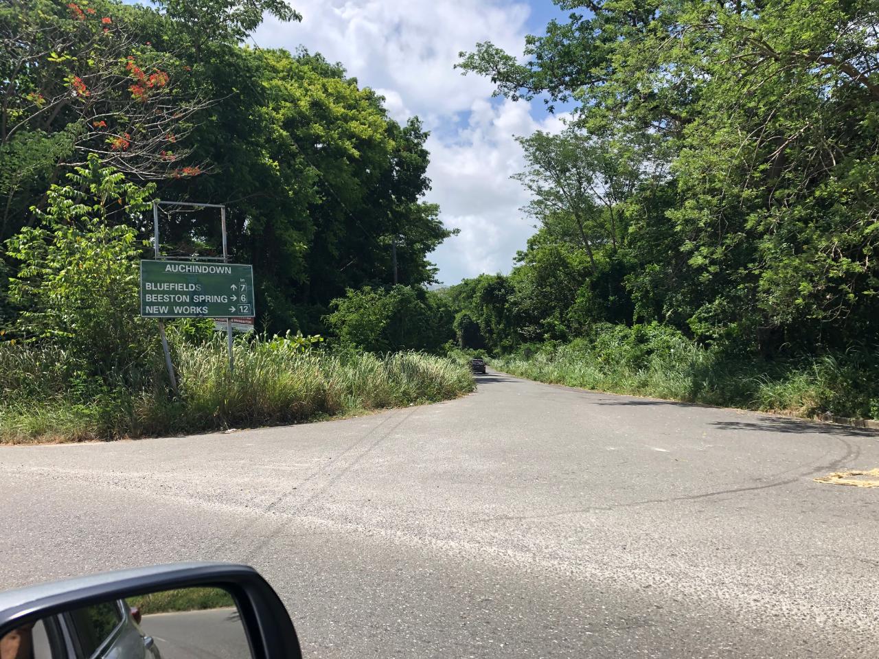 First image of Lot # 12 Bluefields, Westmoreland in Bluefields, Westmoreland, Jamaica - property is For Sale
