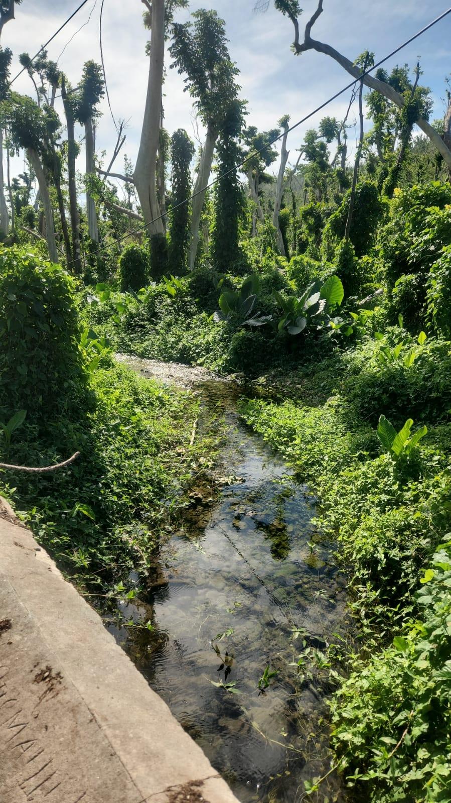 Sixth image of Lot # 12 Bluefields, Westmoreland in Bluefields, Westmoreland, Jamaica - property is For Sale