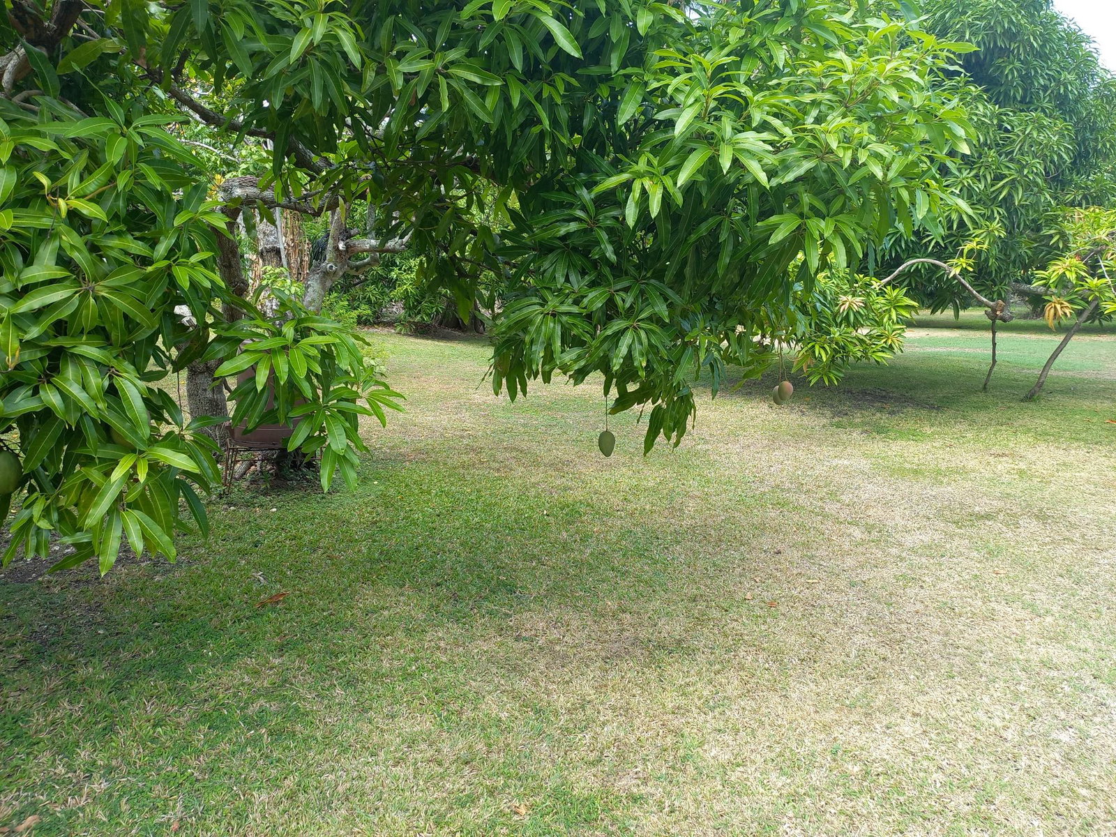 Tenth image of 6 Tower Hill, Tower Isle in Tower Isle, St. Mary, Jamaica - property is For Sale