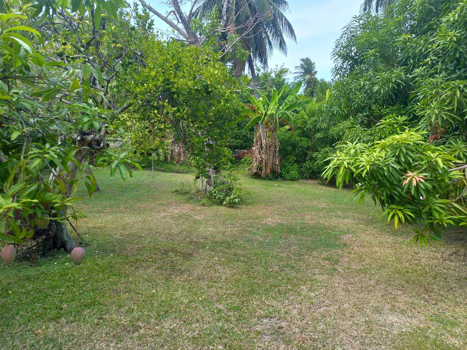 Eleventh image of 6 Tower Hill, Tower Isle in Tower Isle, St. Mary, Jamaica - property is For Sale