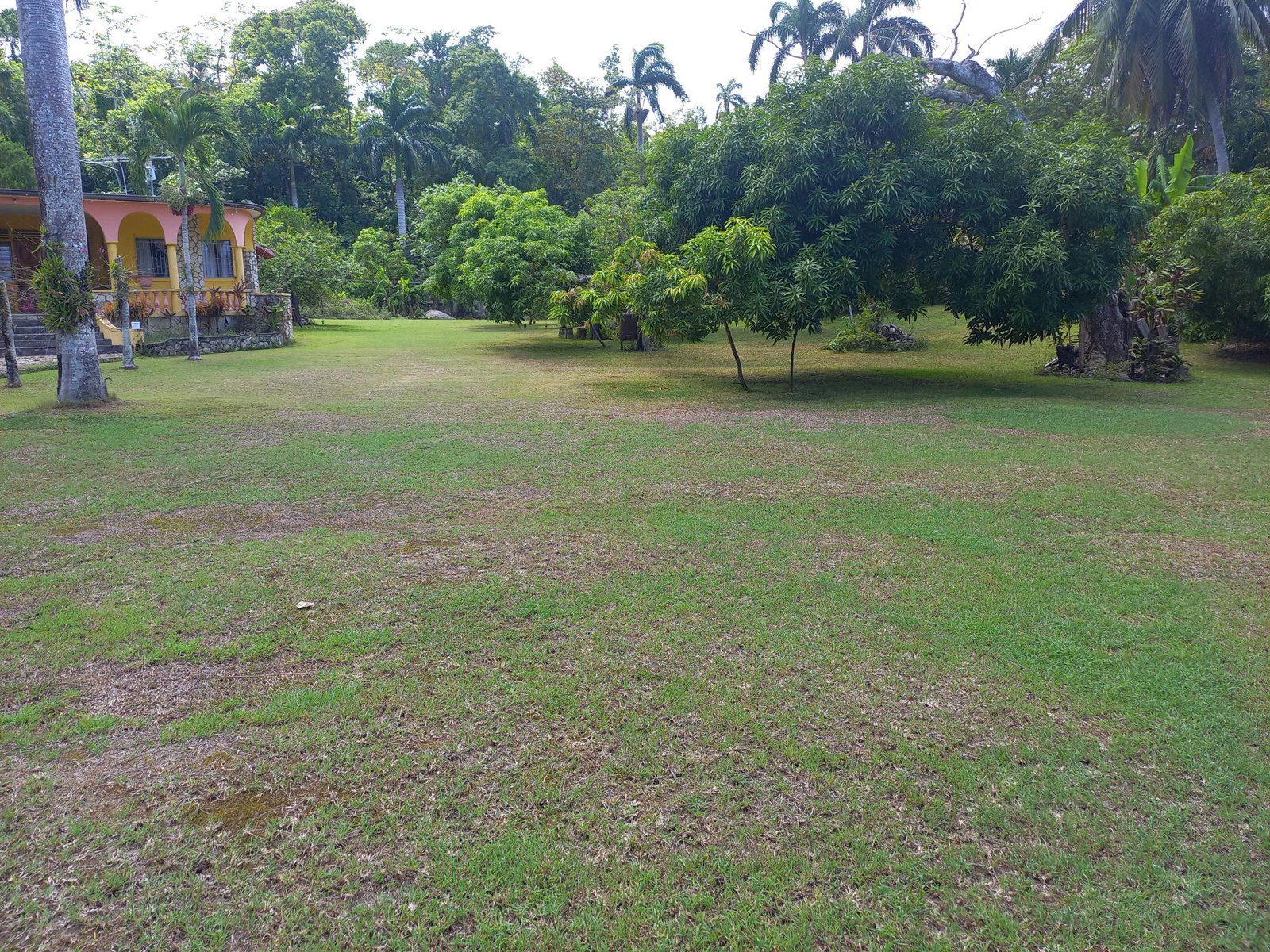 Thirteenth image of 6 Tower Hill, Tower Isle in Tower Isle, St. Mary, Jamaica - property is For Sale
