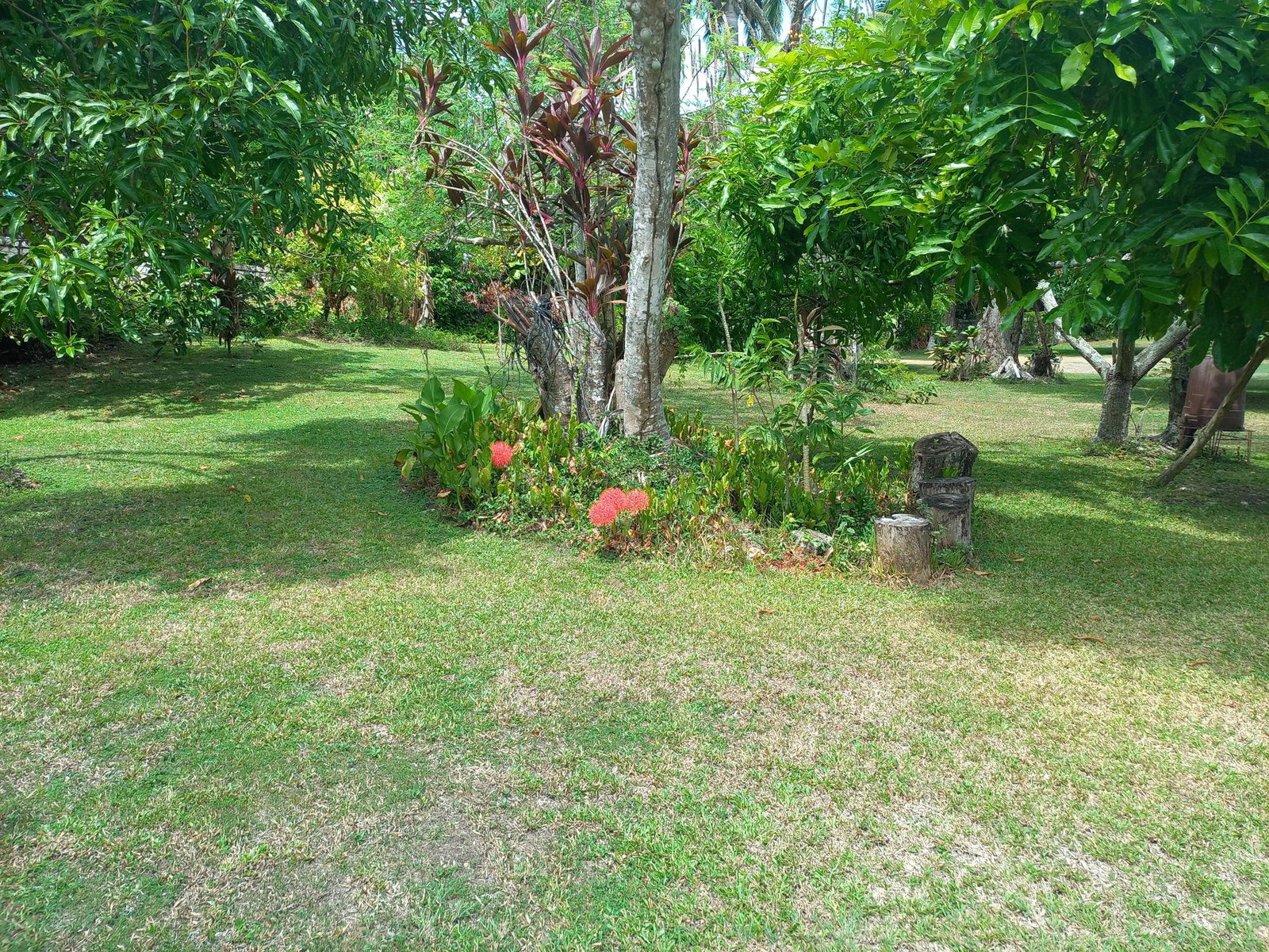 Eighth image of 6 Tower Hill, Tower Isle in Tower Isle, St. Mary, Jamaica - property is For Sale