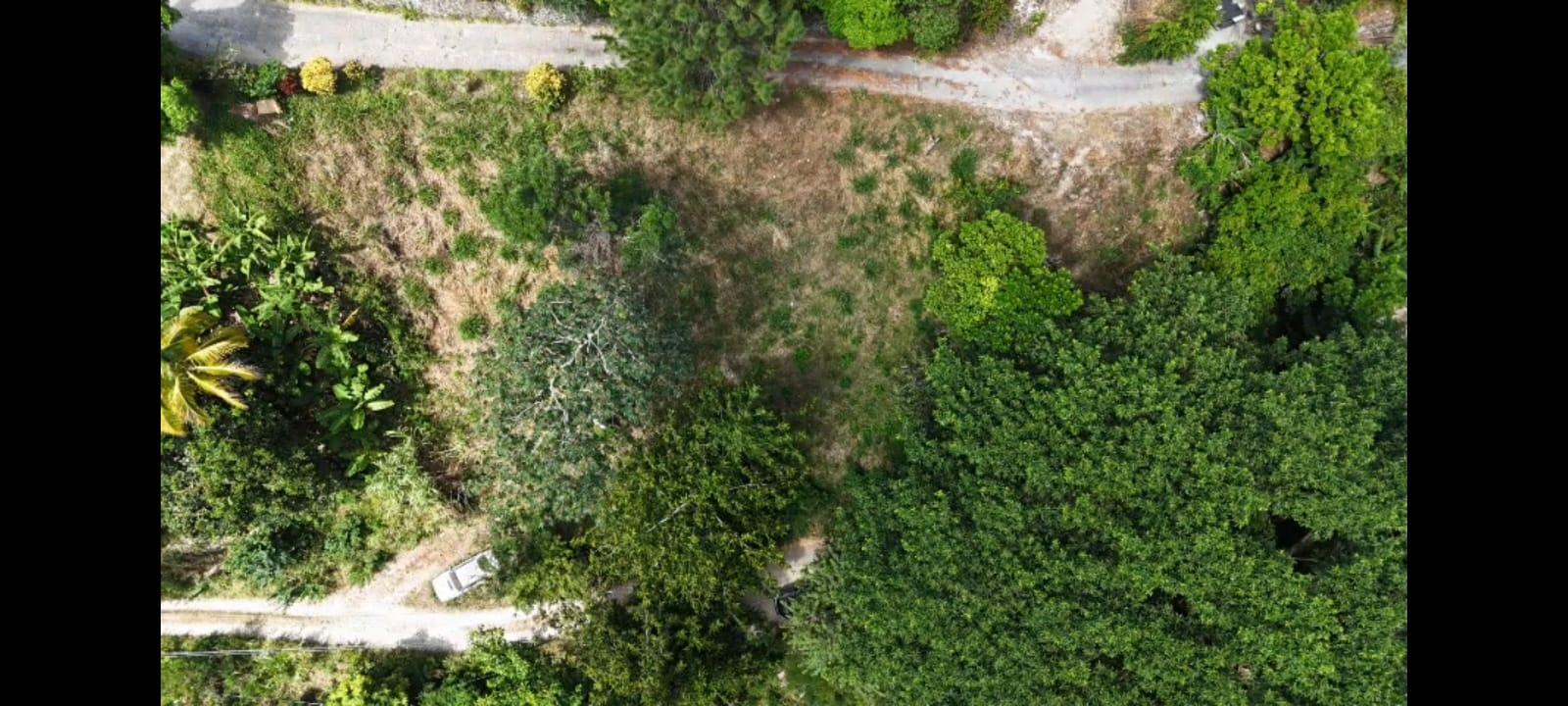 Tenth image of Land-1a & 1b Dublin Castle, Craig Hill in Gordon Town P.O., St. Andrew, Jamaica - property is For Sale