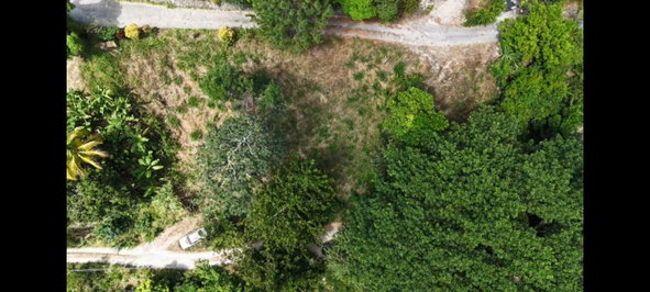 Tenth image of Land-1a & 1b Dublin Castle, Craig Hill in Gordon Town P.O., St. Andrew, Jamaica - property is For Sale