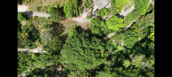 Eleventh image of Land-1a & 1b Dublin Castle, Craig Hill in Gordon Town P.O., St. Andrew, Jamaica - property is For Sale