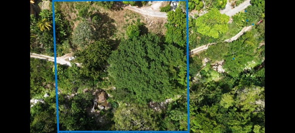 Twelfth image of Land-1a & 1b Dublin Castle, Craig Hill in Gordon Town P.O., St. Andrew, Jamaica - property is For Sale