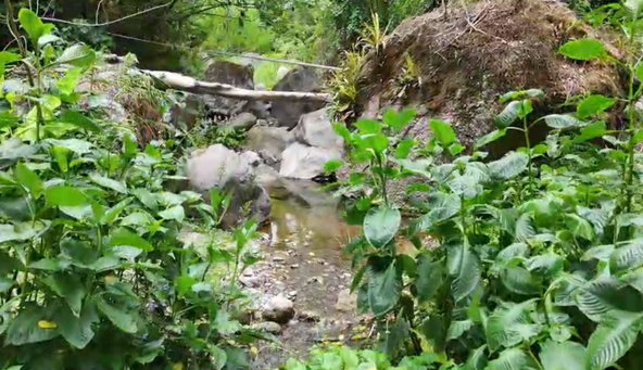 Thirteenth image of Land-1a & 1b Dublin Castle, Craig Hill in Gordon Town P.O., St. Andrew, Jamaica - property is For Sale