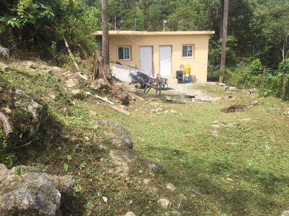 First image of Cheviot Hill, Springfield in MIDDLE QUARTERS, St. Elizabeth, Jamaica - property is For Sale