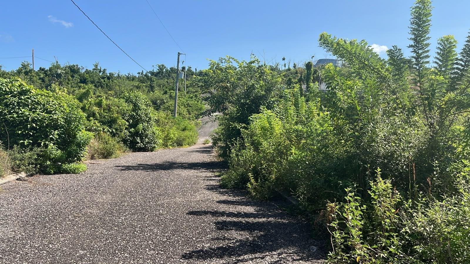 First image of Lot 190 Culloden in WHITEHOUSE, Westmoreland, Jamaica - property is For Sale