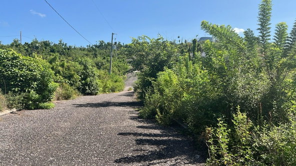 First image of Lot 190 Culloden in WHITEHOUSE, Westmoreland, Jamaica - property is For Sale