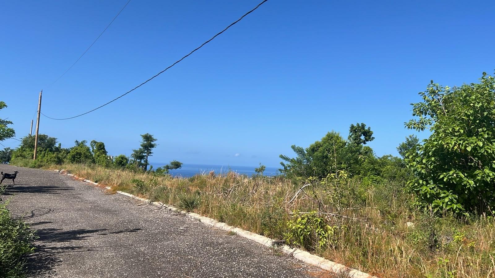 Second image of Lot 190 Culloden in WHITEHOUSE, Westmoreland, Jamaica - property is For Sale