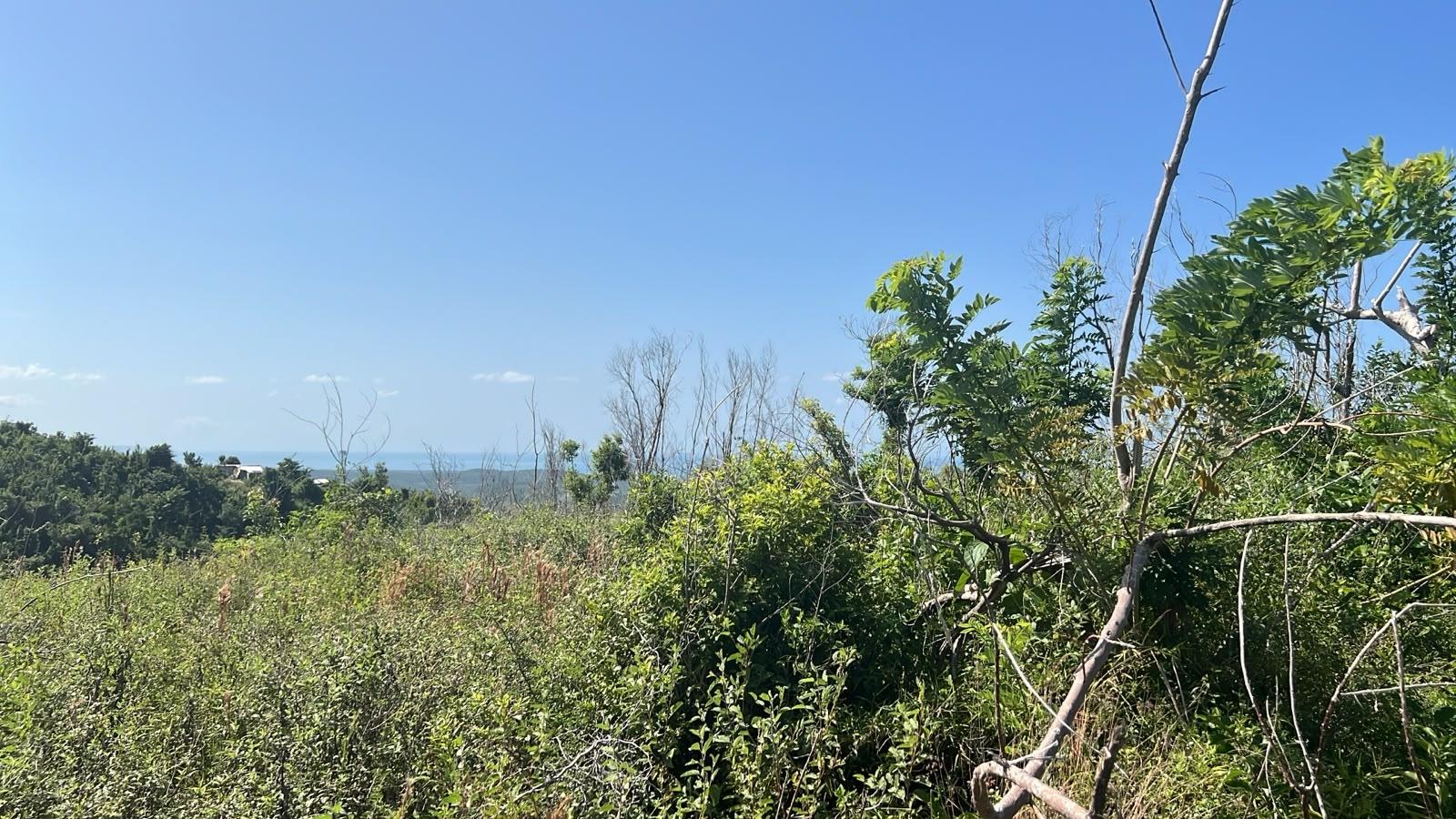 Third image of Lot 190 Culloden in WHITEHOUSE, Westmoreland, Jamaica - property is For Sale