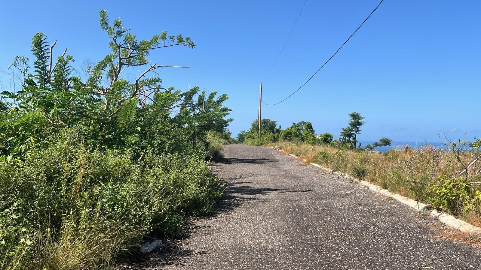 Fifth image of Lot 190 Culloden in WHITEHOUSE, Westmoreland, Jamaica - property is For Sale