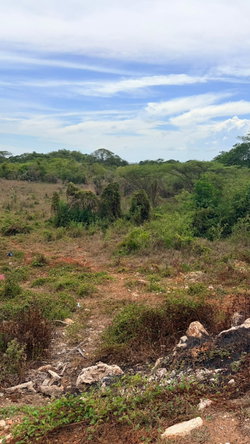 Tenth image of Lot 750 Livingston Road in Green Acres, St. Catherine, Jamaica - property is For Sale