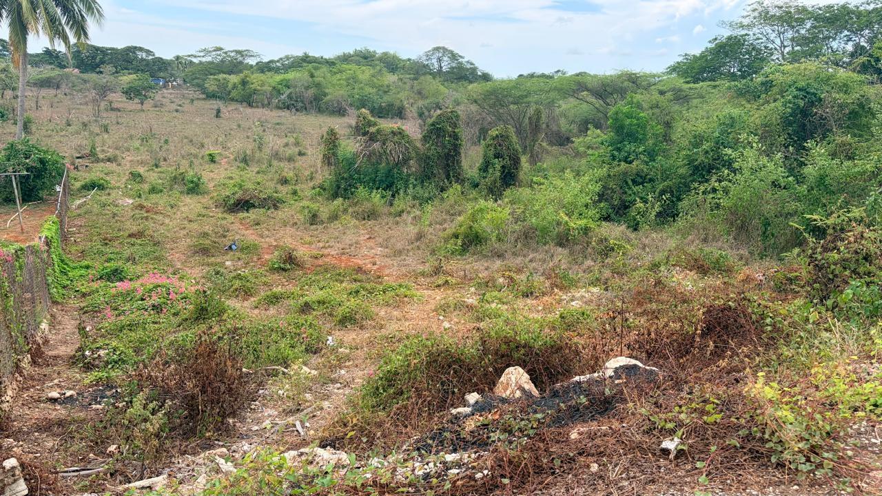 Fourth image of Lot 750 Livingston Road in Green Acres, St. Catherine, Jamaica - property is For Sale
