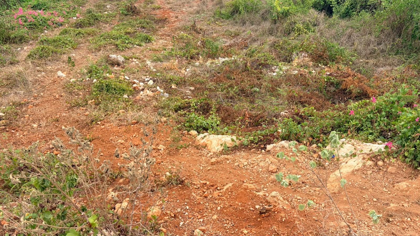 Seventh image of Lot 750 Livingston Road in Green Acres, St. Catherine, Jamaica - property is For Sale