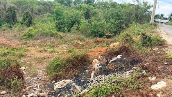 Eighth image of Lot 750 Livingston Road in Green Acres, St. Catherine, Jamaica - property is For Sale