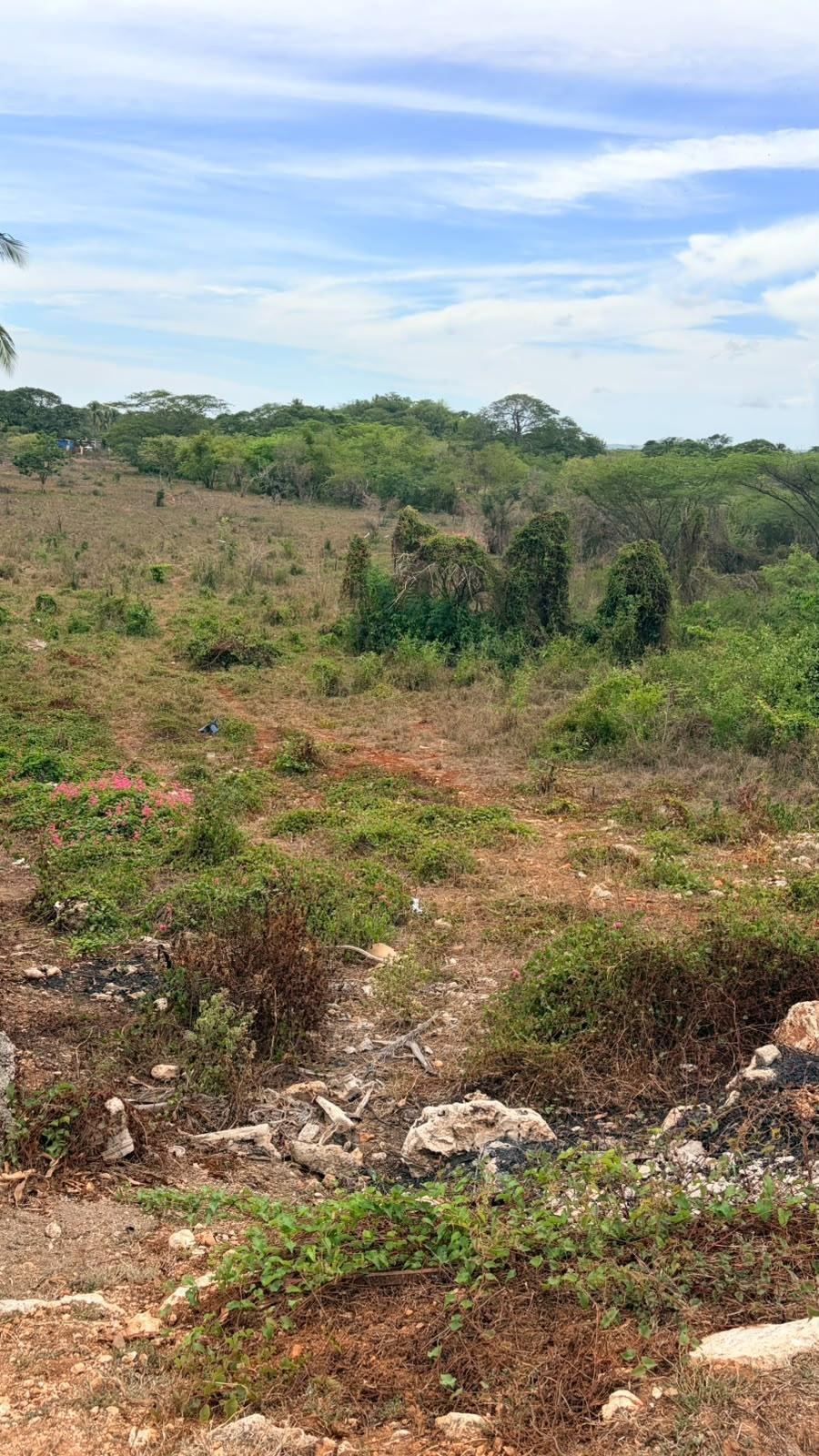 Ninth image of Lot 750 Livingston Road in Green Acres, St. Catherine, Jamaica - property is For Sale