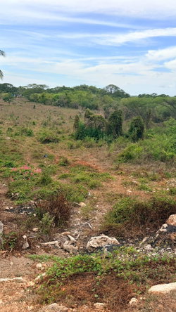 Ninth image of Lot 750 Livingston Road in Green Acres, St. Catherine, Jamaica - property is For Sale