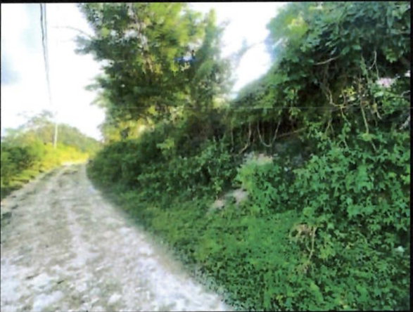 Second image of 89 New Canaan in Adelphi, St. James, Jamaica - property is For Sale