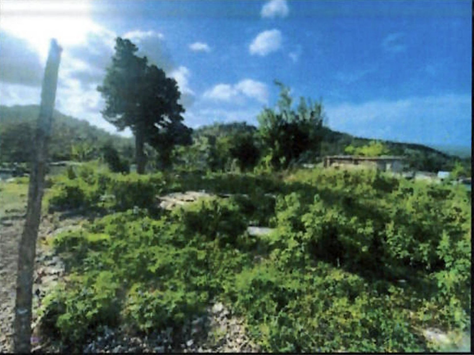 Third image of 89 New Canaan in Adelphi, St. James, Jamaica - property is For Sale