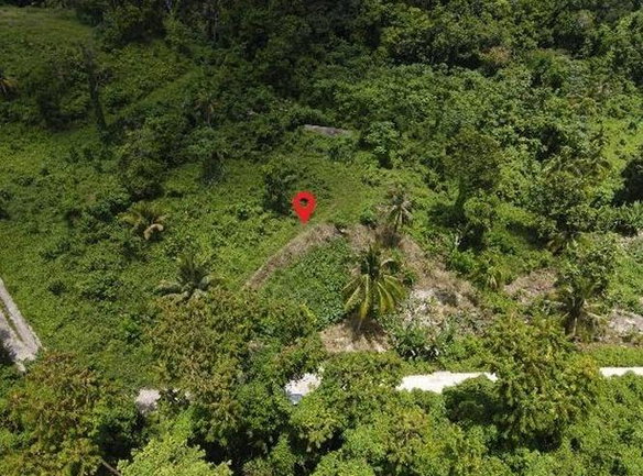 First image of Spring Garden in Buff Bay, Portland, Jamaica - property is For Sale