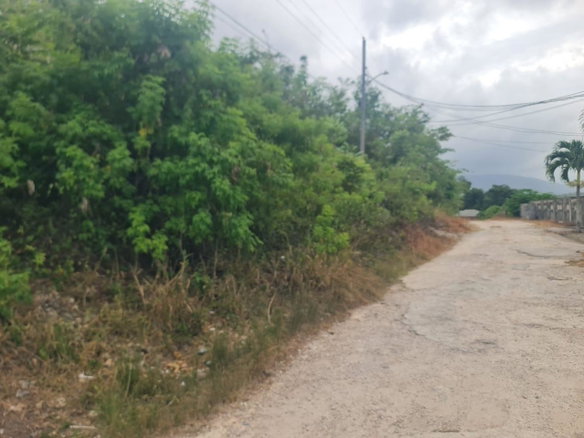 First image of 46 Radstock Road in Mandeville, Manchester, Jamaica - property is For Sale