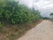 First image of 46 Radstock Road in Mandeville, Manchester, Jamaica - property is For Sale