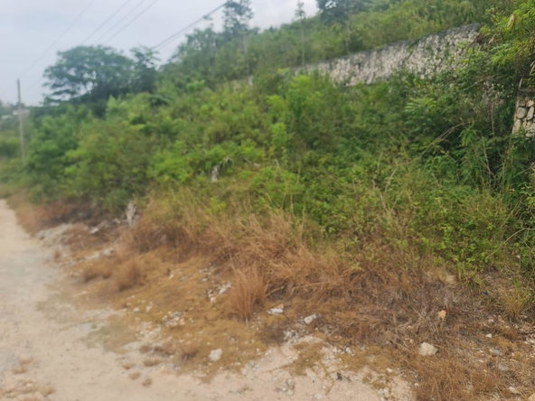 Second image of 46 Radstock Road in Mandeville, Manchester, Jamaica - property is For Sale